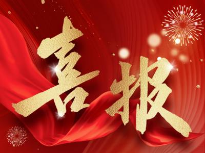 喜訊！湘聯(lián)電纜榮獲國家級專精特新“小巨人”企業(yè)稱號！