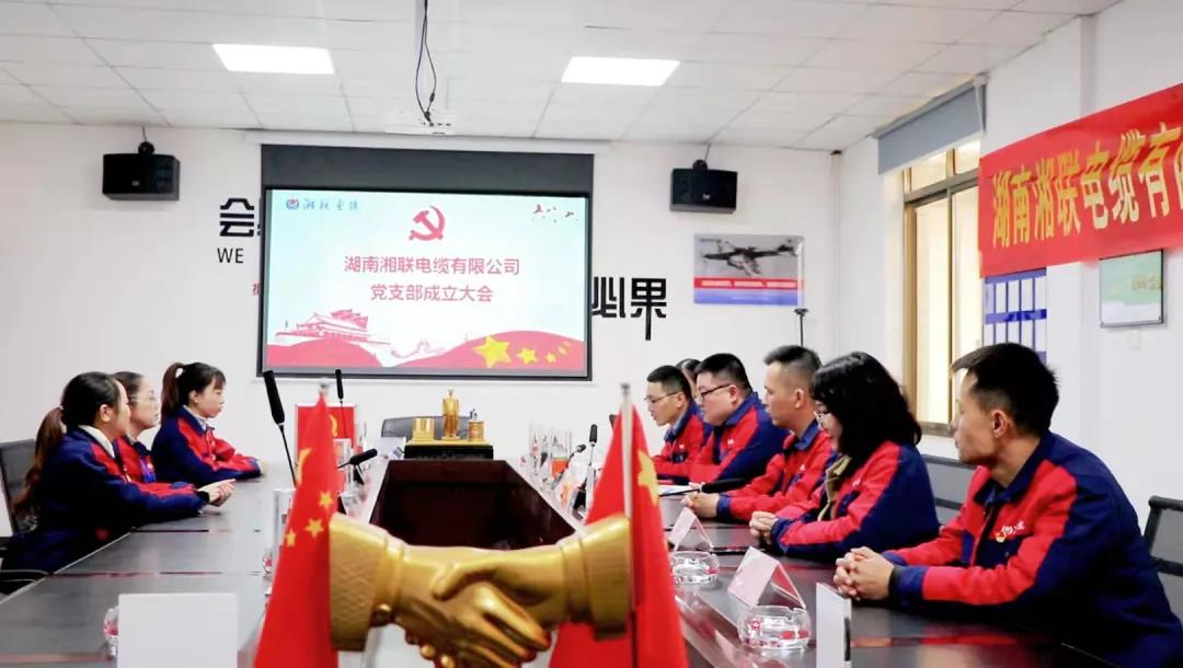 新征程 | 熱烈祝賀湖南湘聯(lián)電纜有限公司黨支部正式成立！