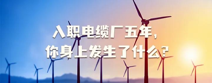 入職電纜廠五年，你身上發(fā)生了哪些變化~