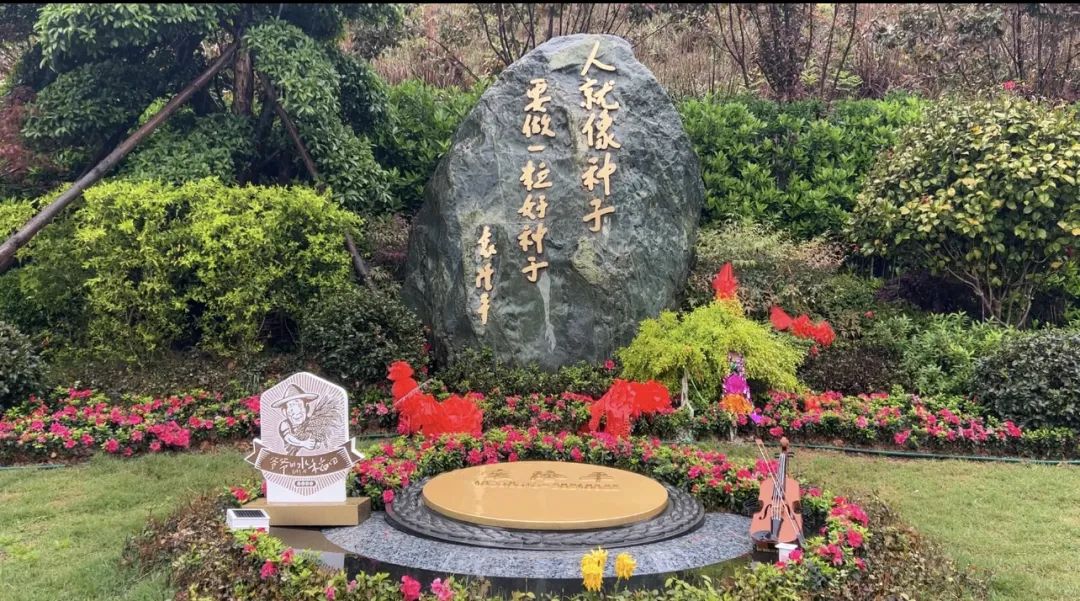 禾下乘涼夢，一稻一人生 我們永遠(yuǎn)懷念袁爺爺 #安全用電你我湘聯(lián)