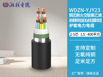 電纜接頭有哪些常見(jiàn)的故障類型？